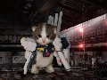 狩獵者