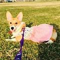 oaklee