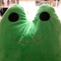 ppyo