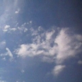 jjfox2
