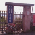 samwang98