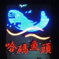 哈碼魚頭