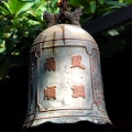 悲情督導