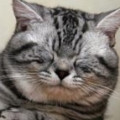estern