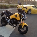 nycity10001