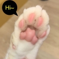 巧克力拿鐵
