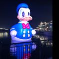 步步柴
