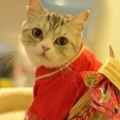 王艾咪