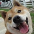 ohfei