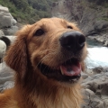 dogmouth