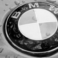 BMW~流氓兔