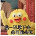 jay81731276