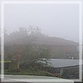 夏霧雨