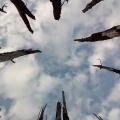 挖洗爛劭