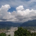 網黑清道夫