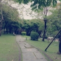 nothing0731