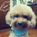 weibabe