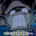 瑪莎雞