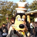 jack walk