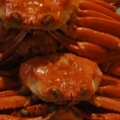 jjlung