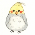 oreoLiang