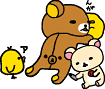 sunnykou