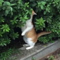 洞爷湖的风
