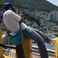 艾立赫