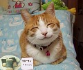 evilsmile