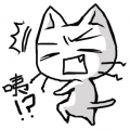 安涼微