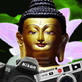 xapn0320