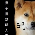 donhsueh322850