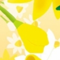 nidwu