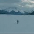 The Revenant