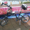小黑鬼255W