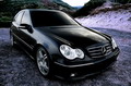 lele350