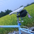 香腸妹