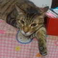 meimei20090805
