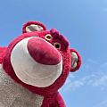 lotso218