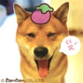 STD會長