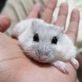YuLi尤莉