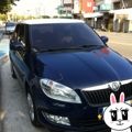 biantou99