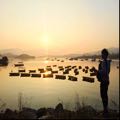 halu_b
