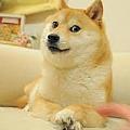 葉詩羽