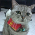 liang1022
