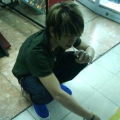 yu_2196