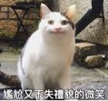 Mr.Huan