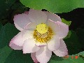 p9221031