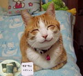 andys_8888