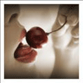cutiecherry
